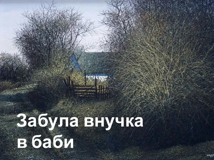 Забула внучка в баби черевички…