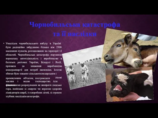 Чорнобильська катастрофа та її наслідки Унаслідок чорнобильського вибуху в Україні