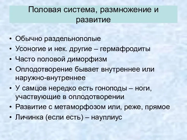 Обычно раздельнополые Усоногие и нек. другие – гермафродиты Часто половой