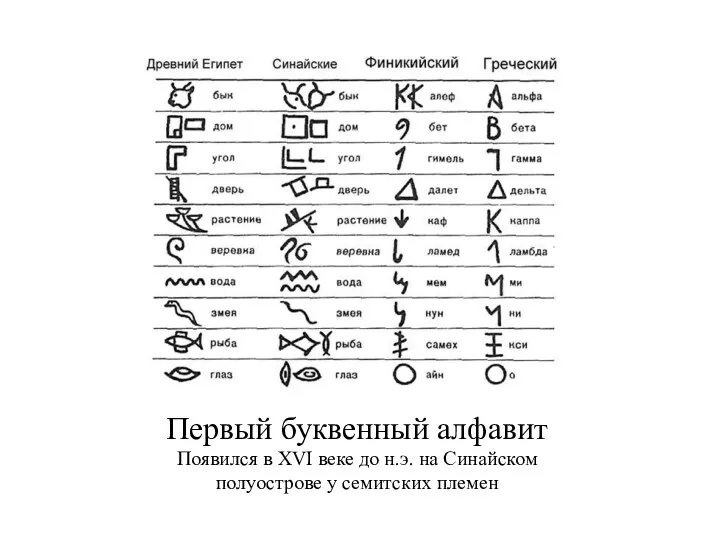 Первый буквенный алфавит Появился в XVI веке до н.э. на Синайском полуострове у семитских племен