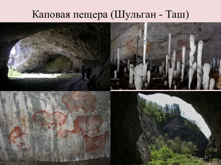 Каповая пещера (Шульган - Таш)