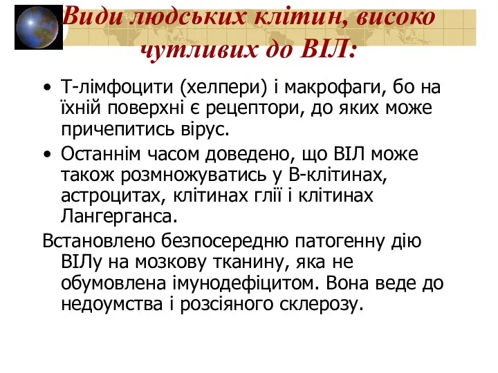 Види людських клітин, високо чутливих до ВІЛ: Т-лімфоцити (хелпери) і