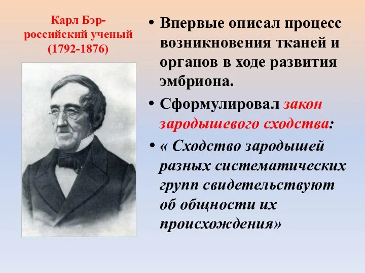 Карл Бэр- российский ученый (1792-1876) Впервые описал процесс возникновения тканей и органов в
