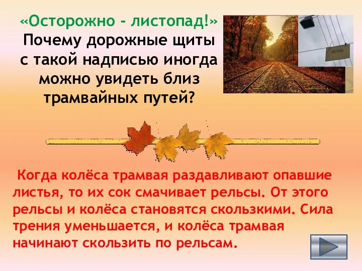 «Осторожно - листопад!» Почему дорожные щиты с такой надписью иногда