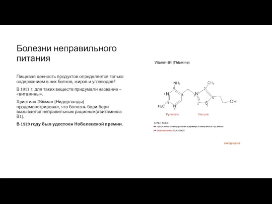 Болезни неправильного питания Пищевая ценность продуктов определяется только содержанием в