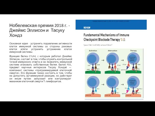 Нобелевская премия 2018 г. - Джеймс Эллисон и Тасуку Хондз