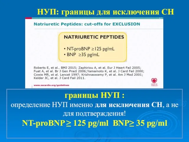 НУП: границы для исключения СН границы НУП : определение НУП