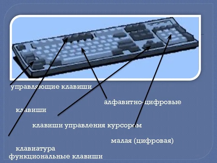 управляющие клавиши алфавитно-цифровые клавиши клавиши управления курсором малая (цифровая) клавиатура функциональные клавиши