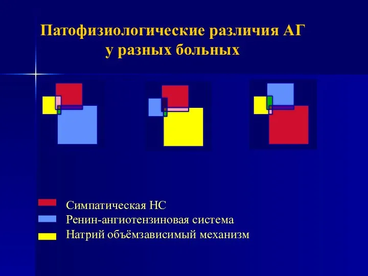 Патофизиологические различия АГ у разных больных Симпатическая НС Ренин-ангиотензиновая система Натрий объёмзависимый механизм