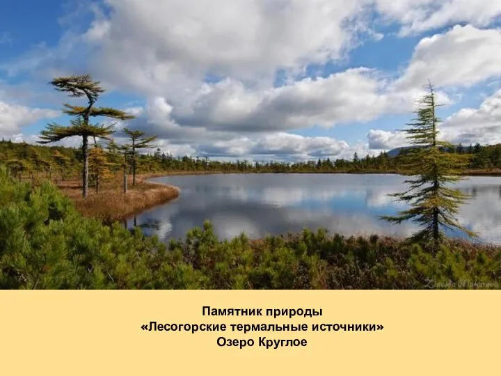 Памятник природы «Лесогорские термальные источники» Озеро Круглое