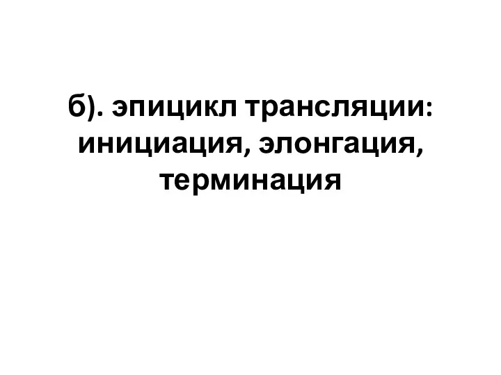 б). эпицикл трансляции: инициация, элонгация, терминация