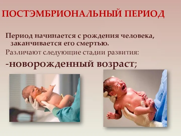 Период начинается с рождения человека, заканчивается его смертью. Различают следующие стадии развития: -новорожденный возраст; ПОСТЭМБРИОНАЛЬНЫЙ ПЕРИОД