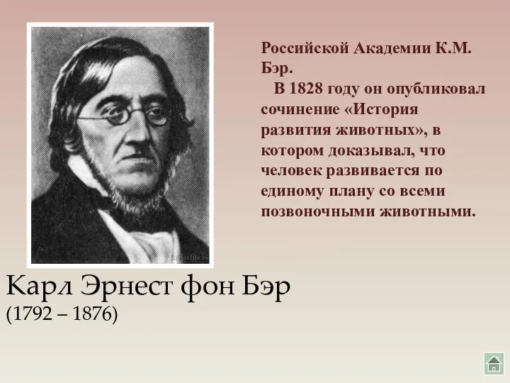 Карл Эрнест фон Бэр (1792 – 1876) Российской Академии К.М.Бэр.