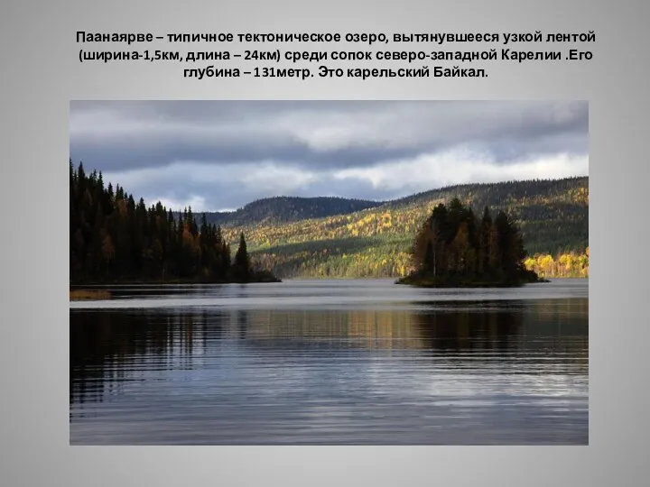 Паанаярве – типичное тектоническое озеро, вытянувшееся узкой лентой (ширина-1,5км, длина