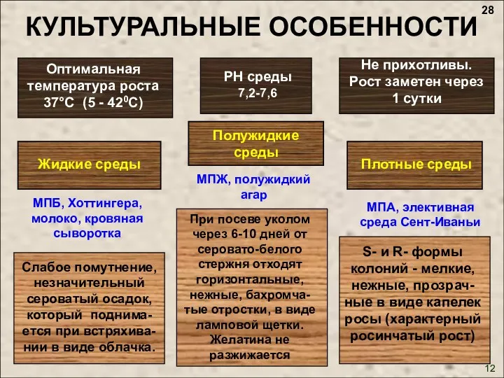 КУЛЬТУРАЛЬНЫЕ ОСОБЕННОСТИ Оптимальная температура роста 37°С (5 - 420С) Не