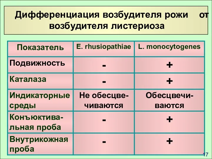 Дифференциация возбудителя рожи от возбудителя листериоза 17