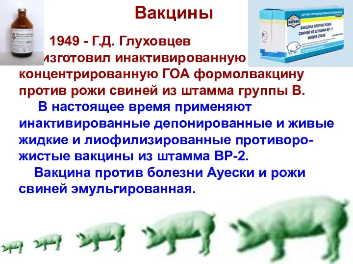 Вакцины 1949 - Г.Д. Глуховцев изготовил инактивированную концентрированную ГОА формолвакцину