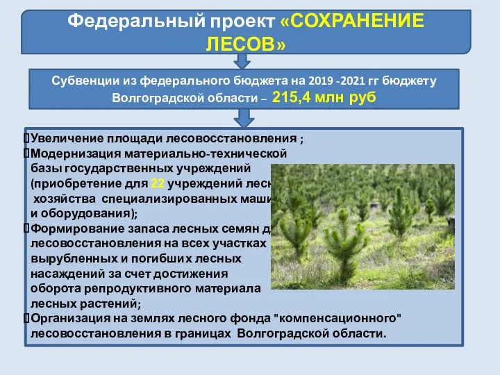 Федеральный проект «СОХРАНЕНИЕ ЛЕСОВ» Субвенции из федерального бюджета на 2019