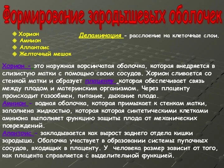 Формирование зародышевых оболочек Хорион Амнион Аллантоис Желточный мешок Хорион -