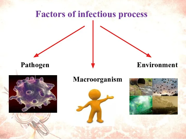 Factors of infectious process Environment Macroorganism Pathogen