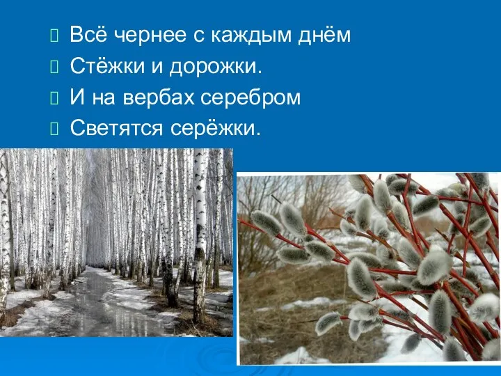 Всё чернее с каждым днём Стёжки и дорожки. И на вербах серебром Светятся серёжки.