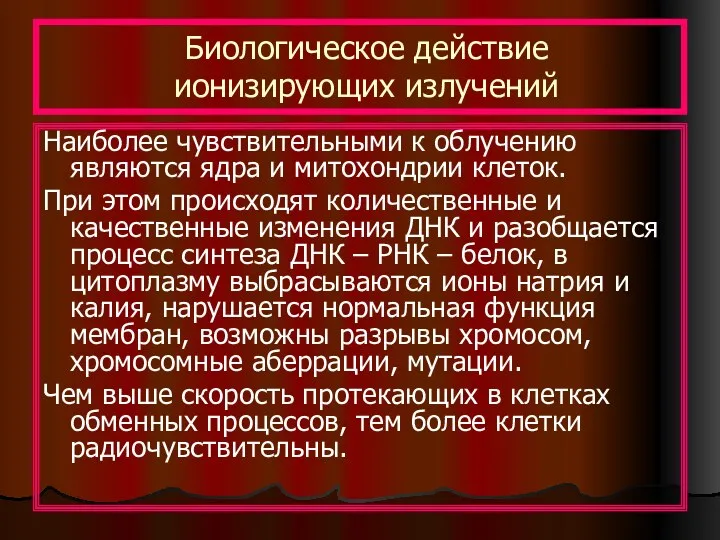 Биологическое действие ионизирующих излучений Наиболее чувствительными к облучению являются ядра