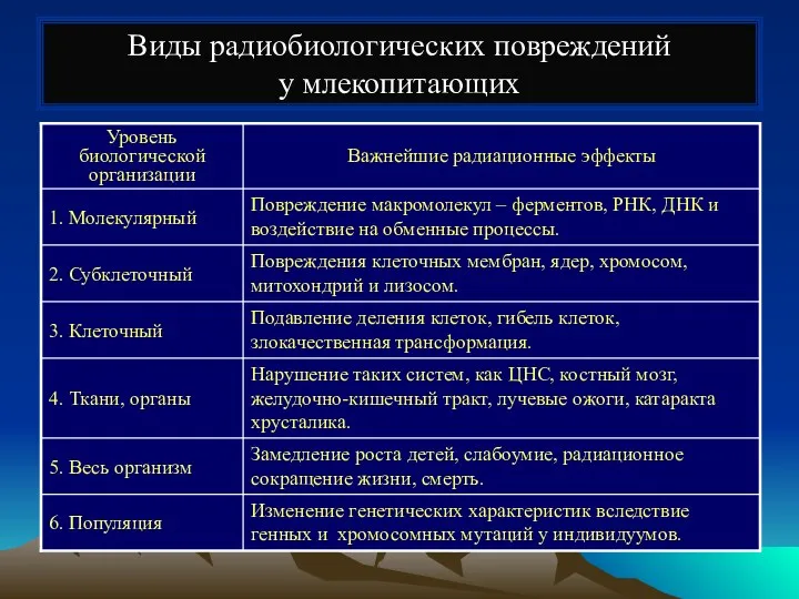 Виды радиобиологических повреждений у млекопитающих