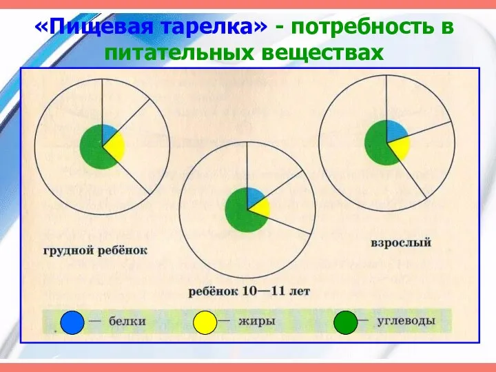 «Пищевая тарелка» - потребность в питательных веществах