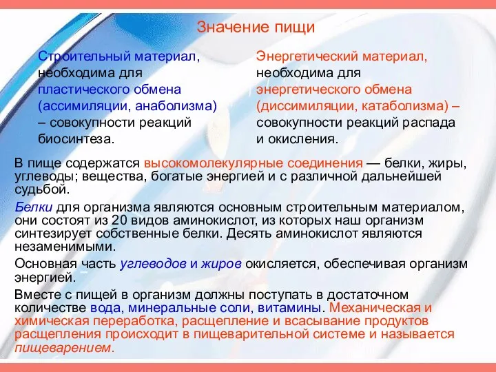 В пище содержатся высокомолекулярные соединения — белки, жиры, углеводы; вещества,