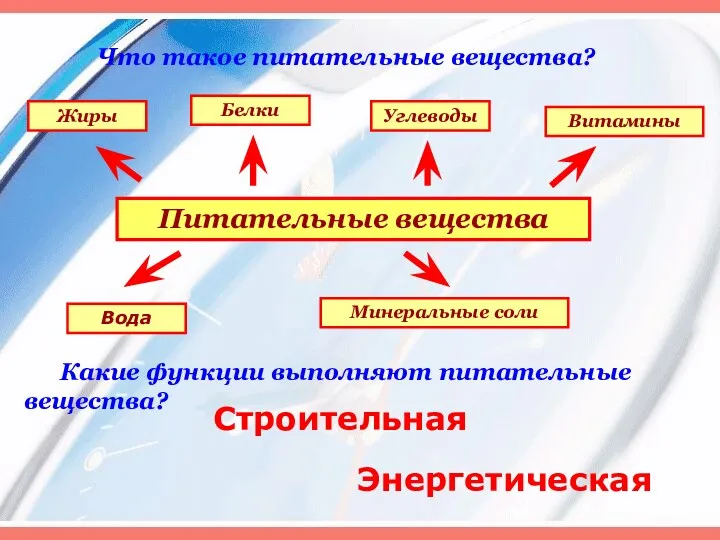 Что такое питательные вещества? Какие функции выполняют питательные вещества? Питательные