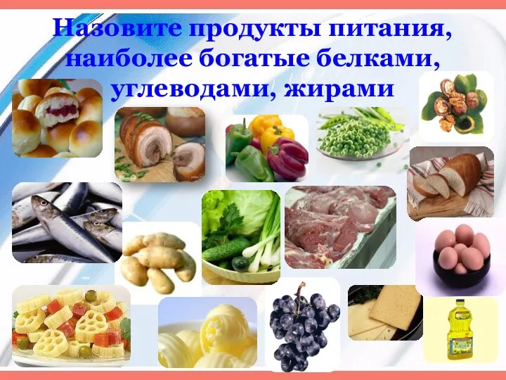 Назовите продукты питания, наиболее богатые белками, углеводами, жирами