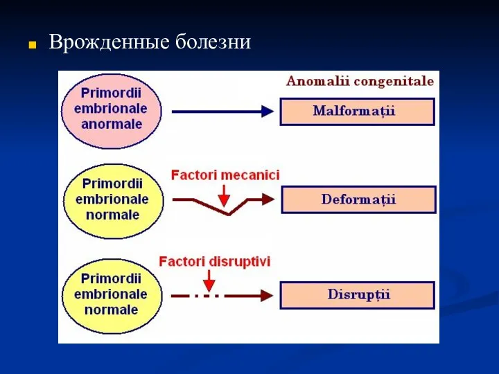 Врожденные болезни