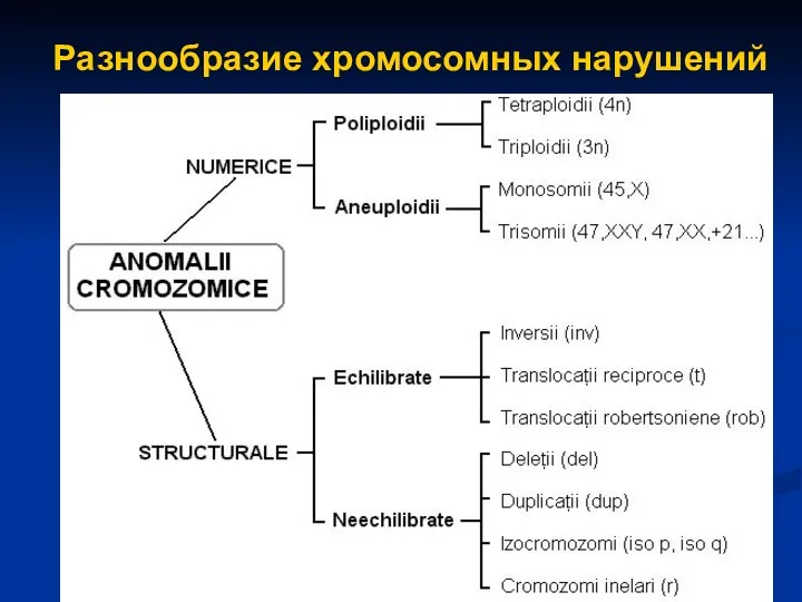 Разнообразие хромосомных нарушений