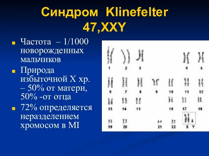 Частота – 1/1000 новорожденных мальчиков Природа избыточной X хр. –