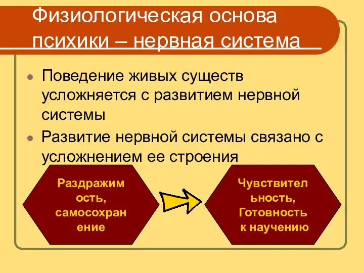 Физиологическая основа психики – нервная система Поведение живых существ усложняется