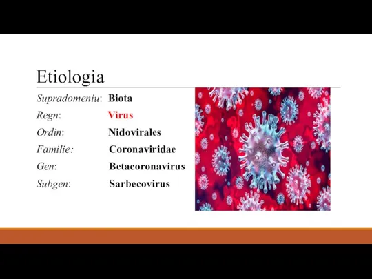 Etiologia Supradomeniu: Biota Regn: Virus Ordin: Nidovirales Familie: Coronaviridae Gen: Betacoronavirus Subgen: Sarbecovirus