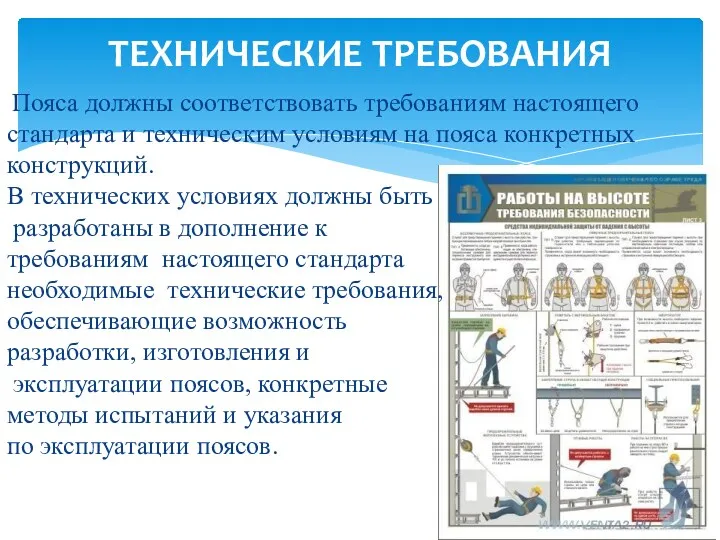 Пояса должны соответствовать требованиям настоящего стандарта и техническим условиям на