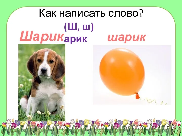 шарик Шарик Как написать слово? (Ш, ш)арик