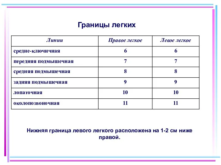 Границы легких Нижняя граница левого легкого расположена на 1-2 см ниже правой.