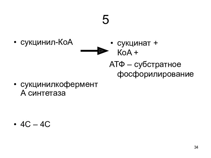 5 сукцинил-КoA сукцинилкофермент А синтетаза 4С – 4С сукцинат + КoA + АТФ – субстратное фосфорилирование