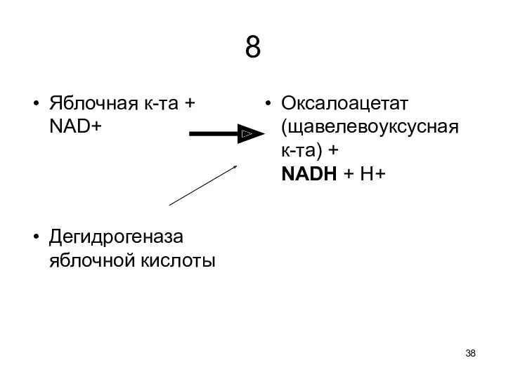 8 Яблочная к-та + NAD+ Дегидрогеназа яблочной кислоты Оксалоацетат (щавелевоуксусная к-та) + NADH + H+