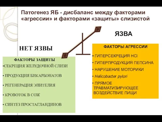 ФАКТОРЫ ЗАЩИТЫ СЕКРЕЦИЯ ЖЕЛУДОЧНОЙ СЛИЗИ ПРОДУКЦИЯ БИКАРБОНАТОВ РЕГЕНЕРАЦИЯ ЭПИТЕЛИЯ КРОВОТОК В СОЖ СИНТЕЗ