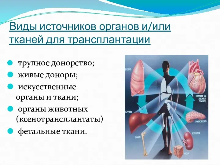 Виды источников органов и/или тканей для трансплантации трупное донорство; живые