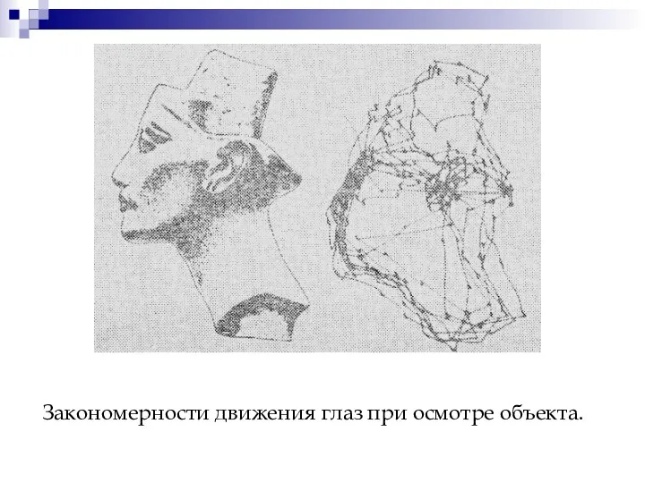 Закономерности движения глаз при осмотре объекта.