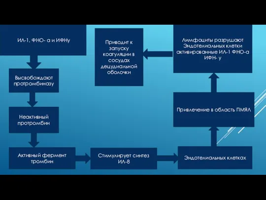 ИЛ-1, ФНО- а и ИФНу Высвобождают протромбиназу Неактивный протромбин Активный