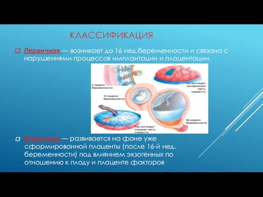 КЛАССИФИКАЦИЯ Вторичная — развивается на фоне уже сформированной плаценты (после