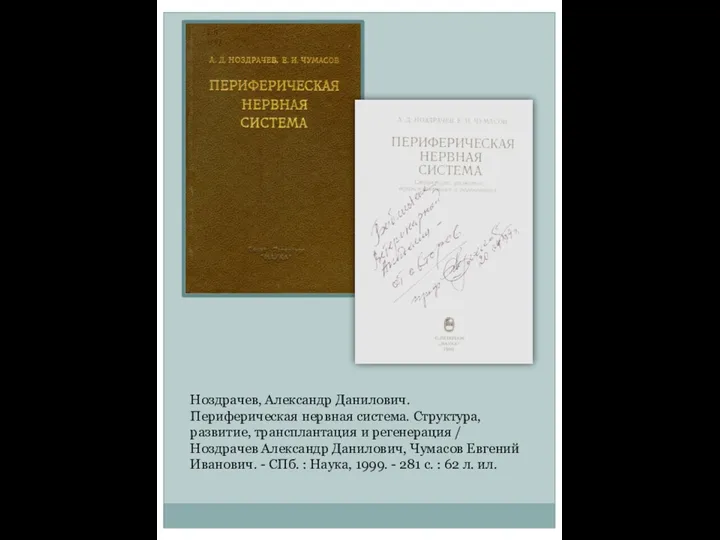 Ноздрачев, Александр Данилович. Периферическая нервная система. Структура, развитие, трансплантация и