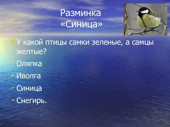 Разминка «Синица» У какой птицы самки зеленые, а самцы желтые? Оляпка Иволга Синица Снегирь.