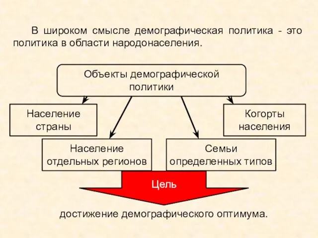 В широком смысле демографическая политика - это политика в области