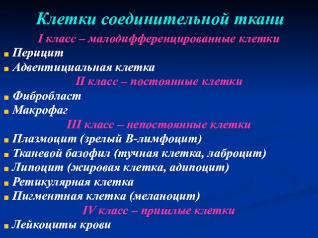 Клетки соединительной ткани I класс – малодифференцированные клетки Перицит Адвентициальная